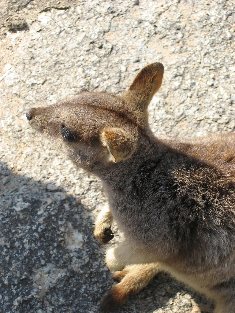 072 Granite Gorge.jpg